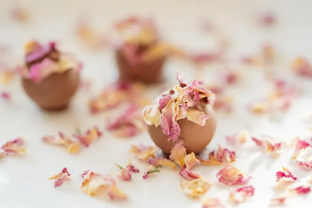 Coin365Bet Kasyno Aplikacja Android/iOS